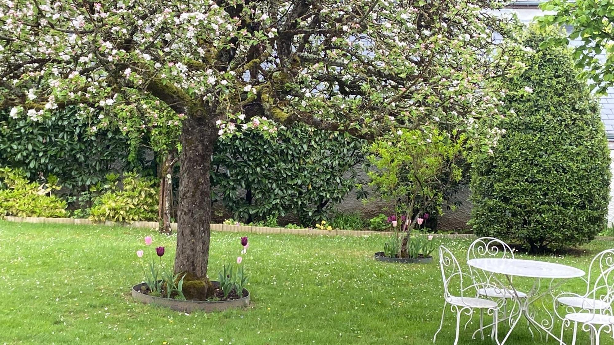Le Hameau Du Moulin A Vent Hotel Saint-Avertin Kültér fotó